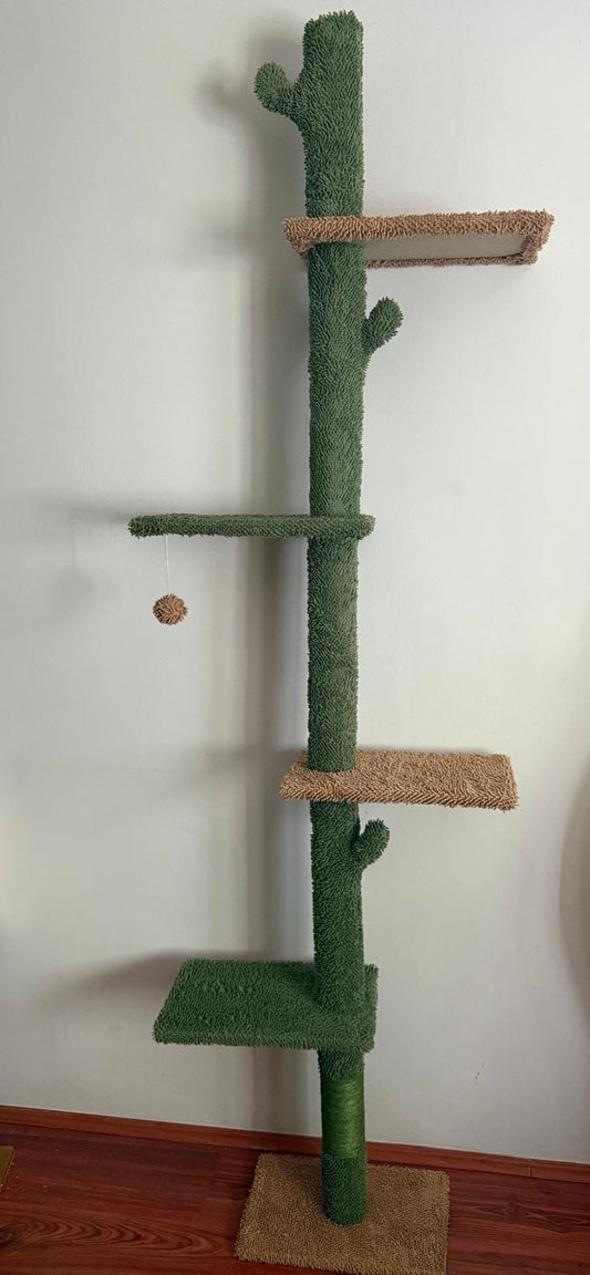 Grebalice-Penjalice za mačke - Cactus